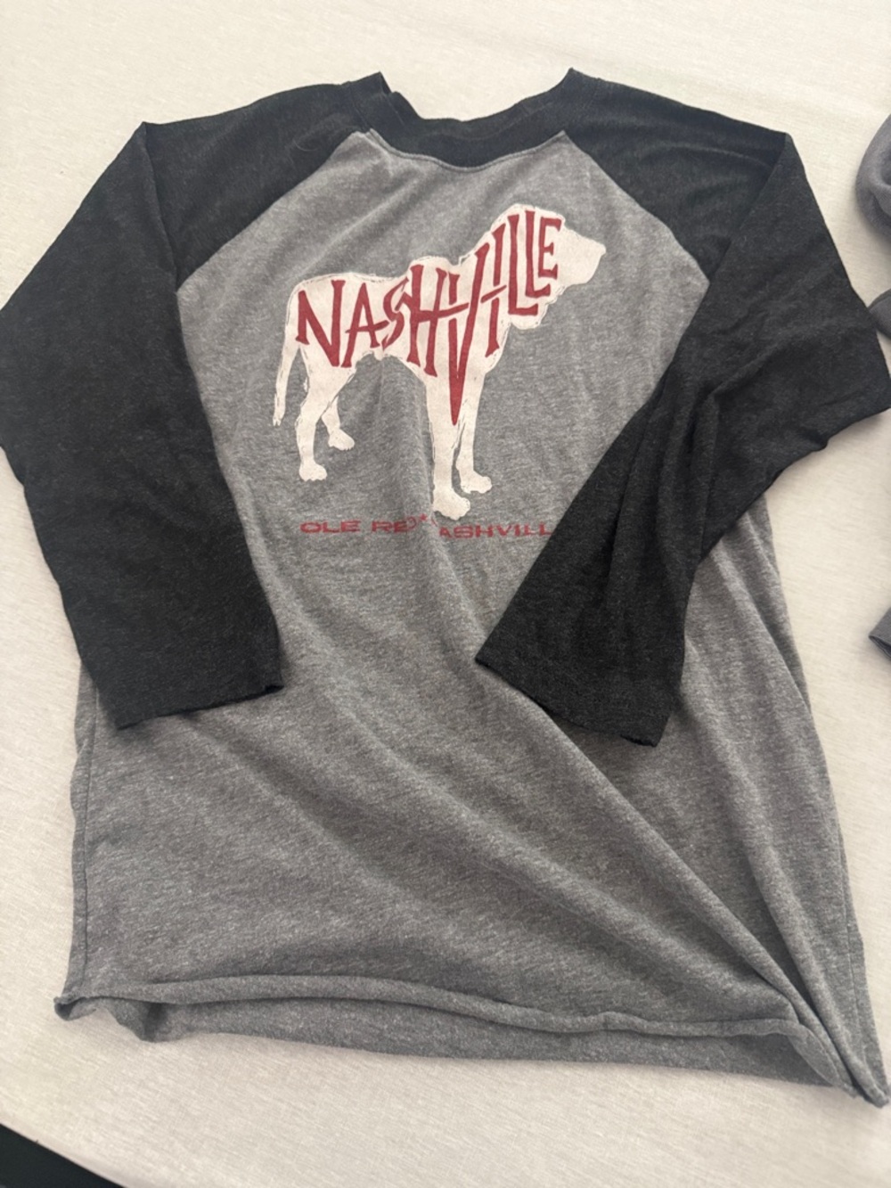 Nashville Old Red Dog Graphic Raglan Tee - Gray & charcoal